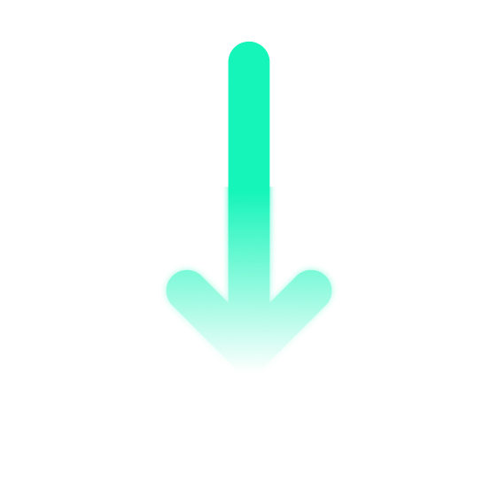 Export Reports
